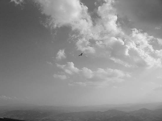 image007