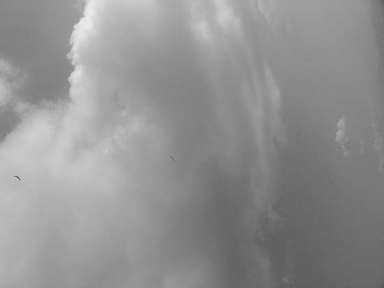 image011