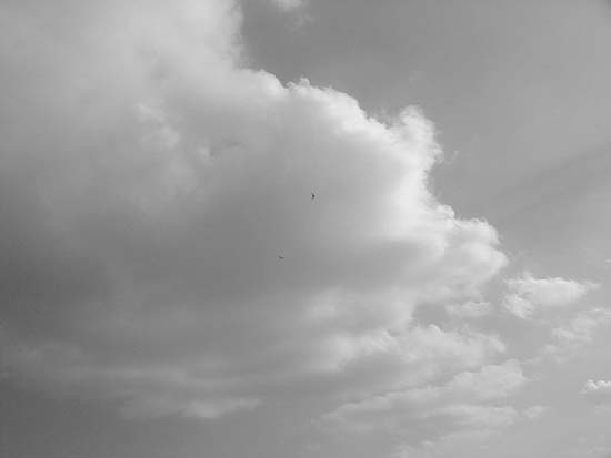 image012