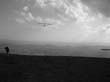 image005