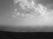 image006