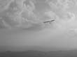 image021