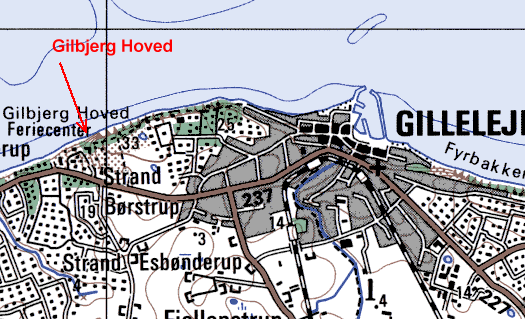 Detailkort