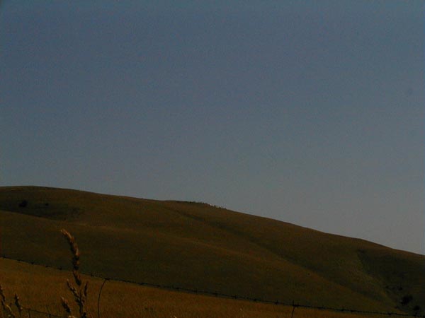 image011