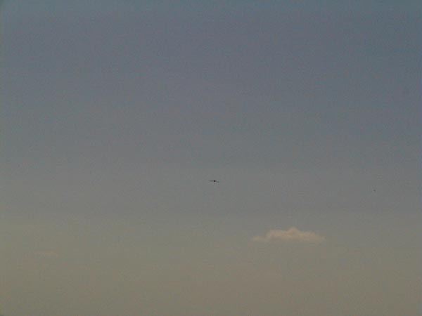 image012