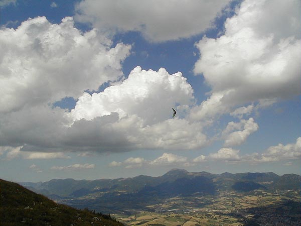image002