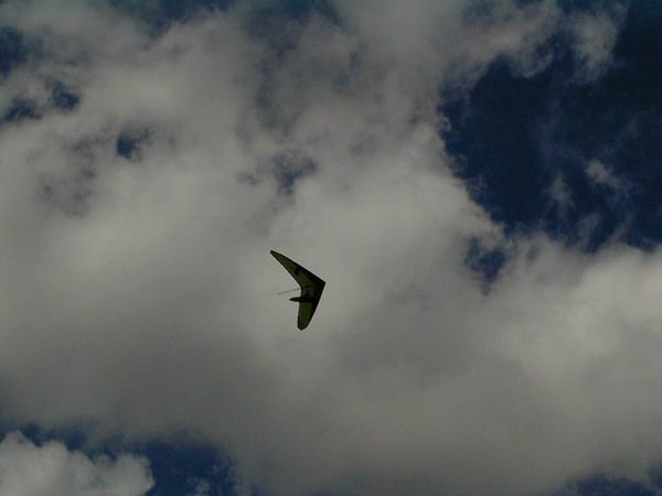 image003