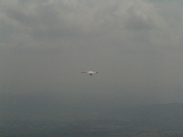 Image007